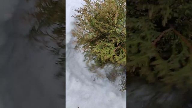 6 апреля 2025г, погода в Москве. смотреть онлайн