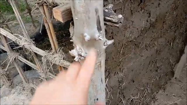 Строительство из глины, леплю стену/Бесплатное строит смотреть онлайн