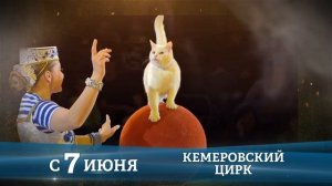 Тайна Пирата в Кемерово