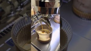 Рожковая кофемашина Milesto EM 30 mini