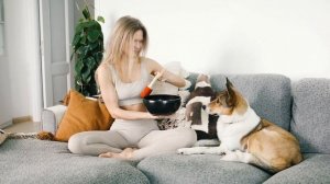 4723344-hd_1920_1080_25fps