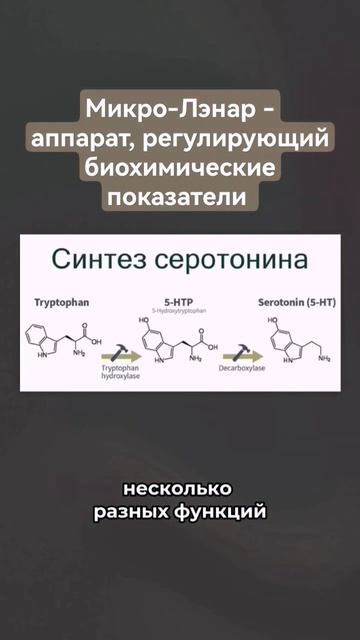 Биохимия эмоций и как они влияют на лишний вес? Подроб?