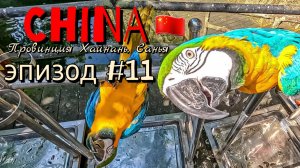 Китай 🇨🇳/Хайнань/Санья/эпизод #11/bird world/на велосипеде над пропастью