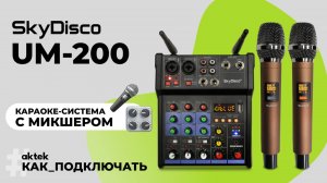 КАРАОКЕ-МИКШЕР С МИКРОФОНАМИ SKYDISCO UM-200 BLUETOOTHSKYDISCO UM 200