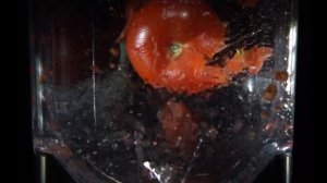 Помидор в Блендере: Эксперимент на Грани Науки и Искус