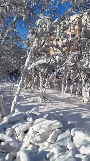 якутские березы в феврале смотреть онлайн