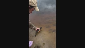 РЕКА ИПУТЬ. ЛОВЛЯ ПЛОТВЫ И ГОЛАВЛЯ НА ФИДЕР. #рыбалка #fishing  #рыбалканафидер #голавль  #плотва