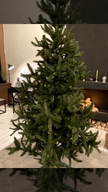 Сверк 250 см смотреть онлайн