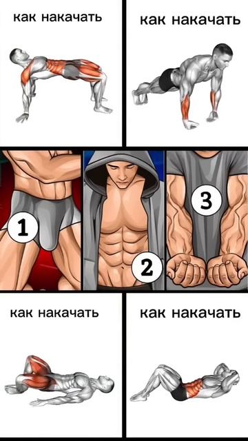 как накачать мышцы в домашних условиях #какнакачать #к