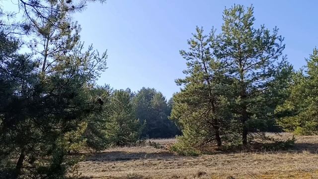 30 марта праздник День Святого Алексея .День Алексея Те смотреть онлайн