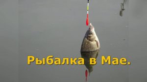Рыбалка.