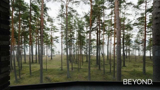 п. Пески - шале на первой линии Финского залива