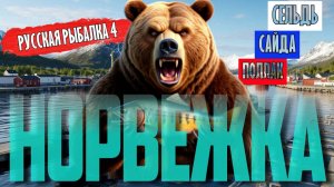 Норвежка | Поклёвки 24/7 | РР4