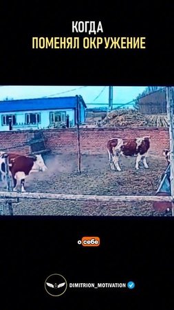 Пример как поменять окружение #совет