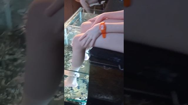 Рыбки делают массаж ног #рыбки #массаж #релакс смотреть онлайн