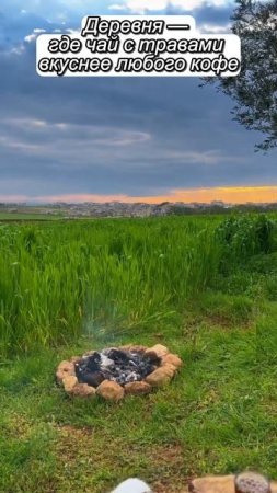 Деревня - где чай с травами вкуснее любого кофе.
