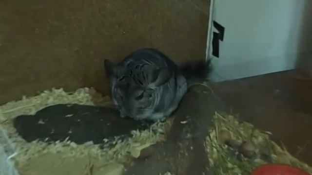 Владения ТГУ смотреть онлайн