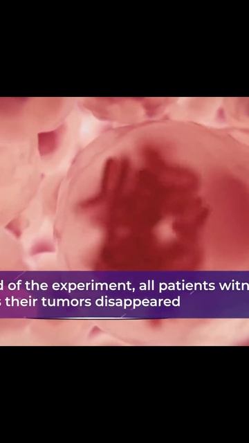 Американский препарат против рака показал эффективно смотреть онлайн