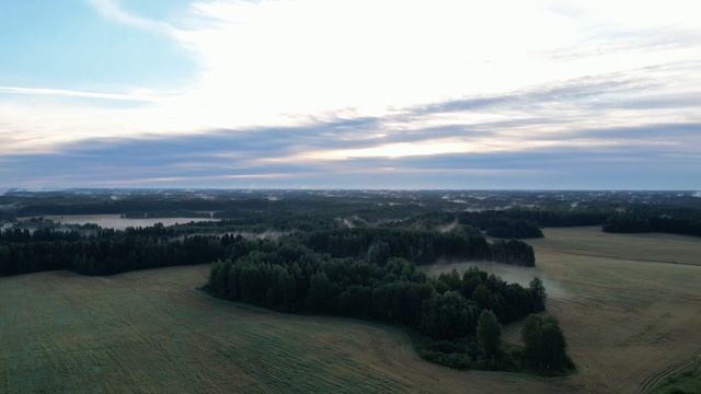 2022.08.07. Погода Петкрбург. 05:25. +12°.  Дальние предместья, Л