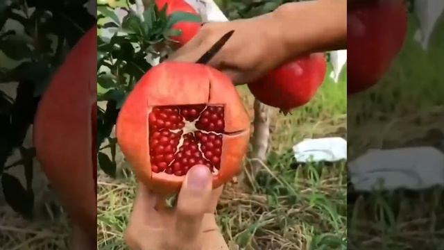 Как чистить гранат смотреть онлайн