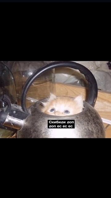 я просила вскипятить чайник, а не вскибидить... смотреть онлайн