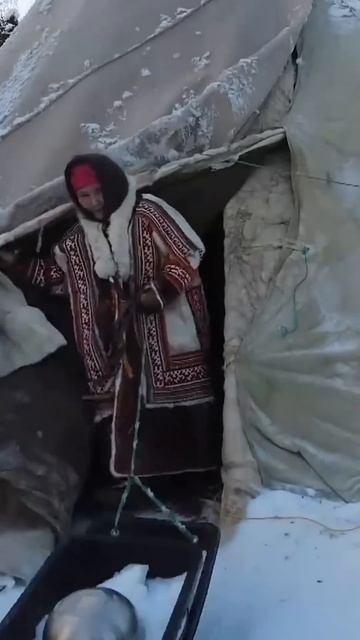 Это вам не чайник включить #ямал #крайнийсевер #тундра смотреть онлайн