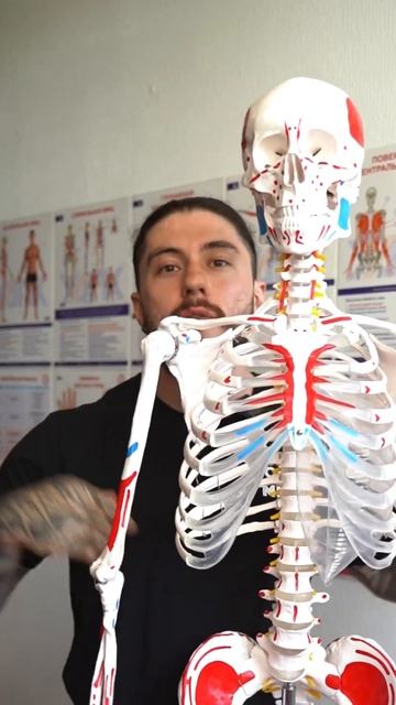 БОЛИТ ШЕЯ? Посмотри это видео!🧐 #массаж #больвшее #бол? смотреть онлайн