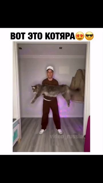 Ваши предложения, Какой у него вес? 😻 смотреть онлайн