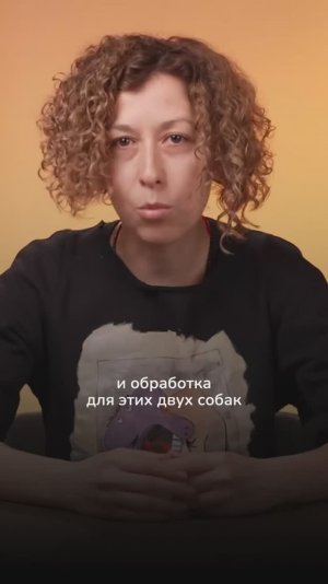 Клещи — угроза для собак и кошек в любое время года