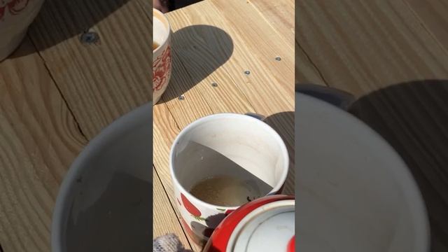 Вкусный Чай бывает только на Природе с листьями Сморо? смотреть онлайн