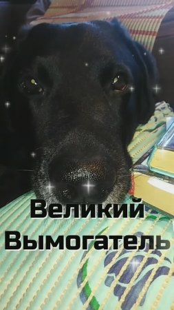 Оставь мне кусочек