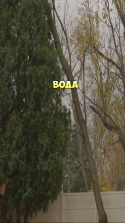 Вода из аквариума ,как удобрение