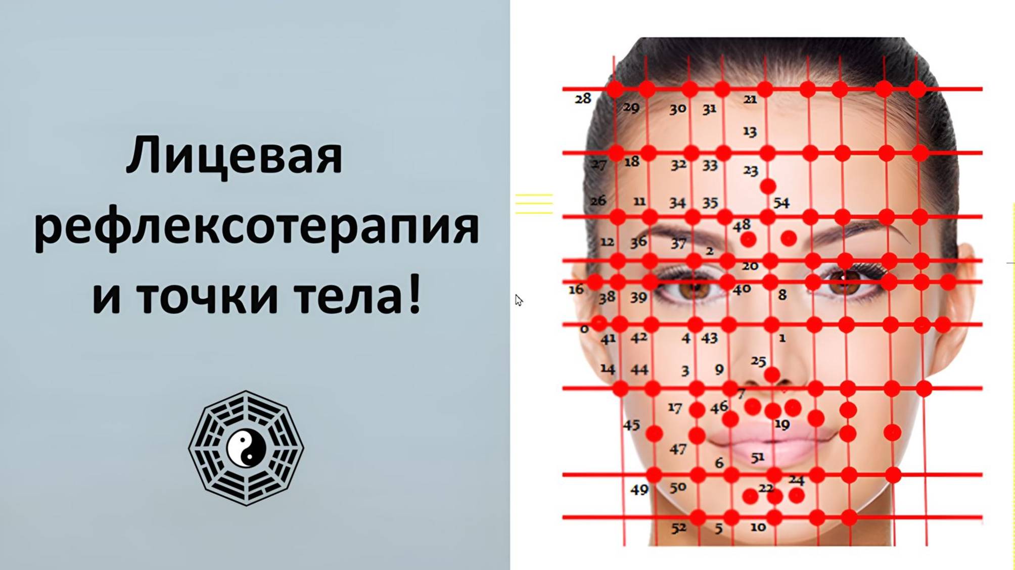 Лицевая Рефлексотерапия и Точки тела