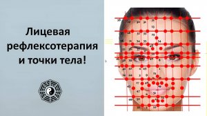 Лицевая Рефлексотерапия и Точки тела