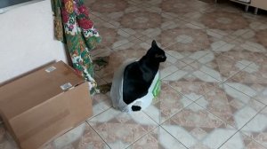 Готовится работать в сбере!