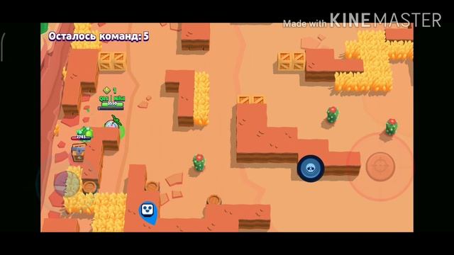 Купил Тропического Спраута!! смотреть онлайн