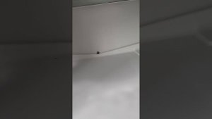 Холодильник начал свистеть после закрытия дверцы? Ест