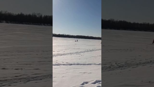 Прогулка по берегу р. Иртыш, погода. Омск. 2.03.2024г. смотреть онлайн
