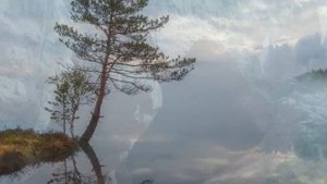 Norte Ruso - 2024 - 2025