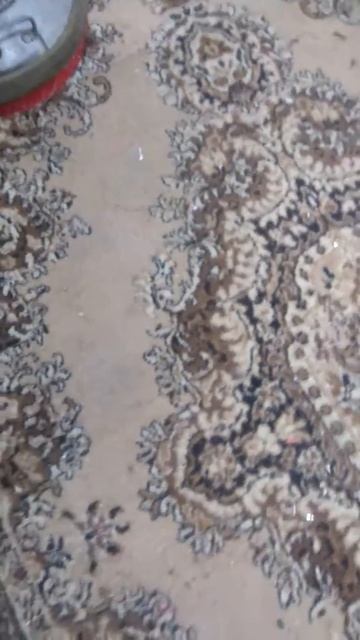 Чистка ковра с вывозом смотреть онлайн