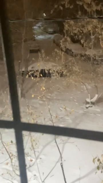 Ето что называется погода смотреть онлайн