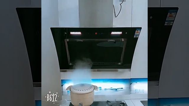 Двухъядерная кухонная вытяжка с высоким всасыванием смотреть онлайн