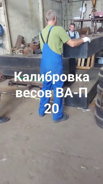 Калибровка весов ВА-П 20. Производства Тензо-М смотреть онлайн