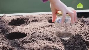 ВЫРАЩИВАЕМ МОРКОВЬ! Сажаем корнеплод при помощи банки. Оригинальное решение от Ольги Платоновой.