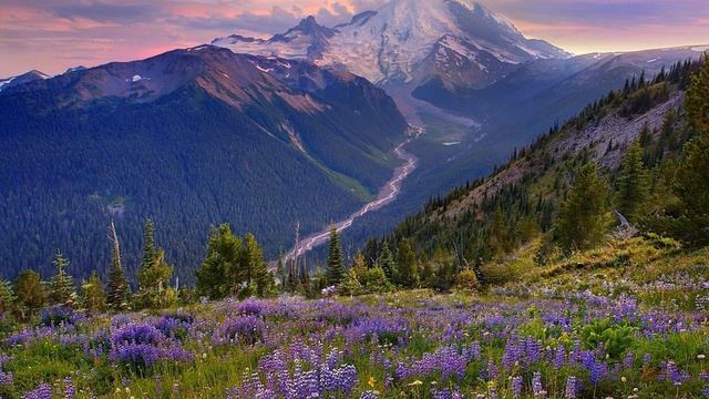 Семя свободной жены Бога смотреть онлайн