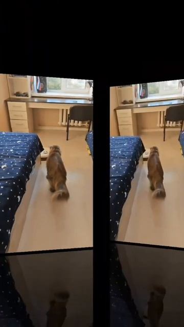 Роботпылесос Neatsvor S600 для ежедневного использования д? смотреть онлайн