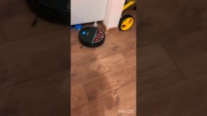 REDMOND RV-R560-первый запуск после распаковки!