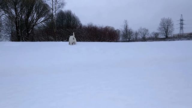 Ну нахер! смотреть онлайн