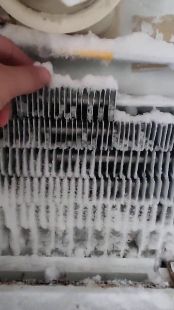 Холодильник Дэу 15+ лет, простоял ночь с открытой дверь? смотреть онлайн