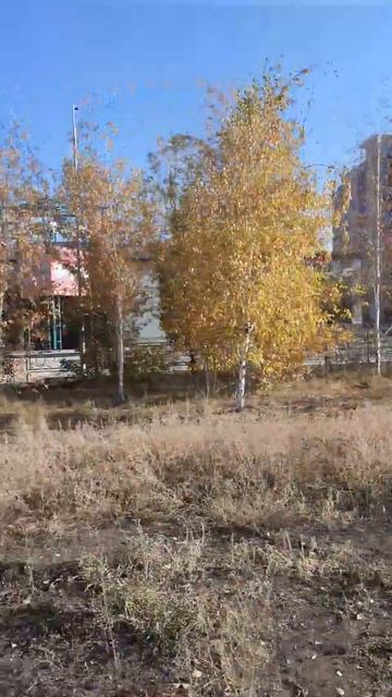 Бабье лето в Караганде на Юго-Востоке заставила проче? смотреть онлайн